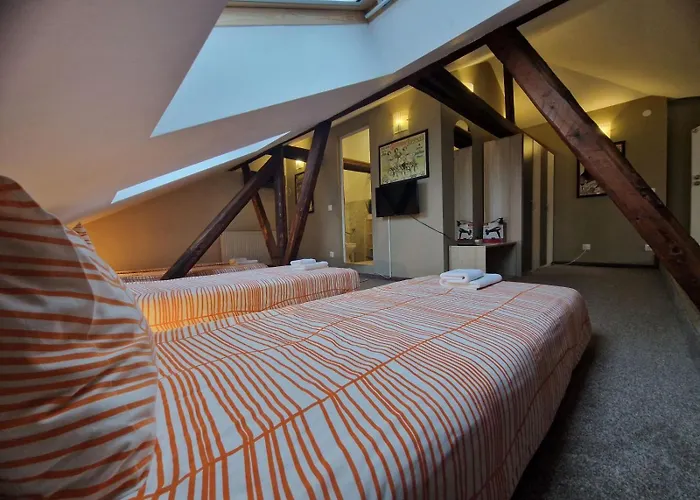 旅馆 La Maison 鲁塞